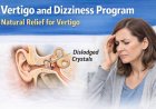 Vertigo and Dizziness Program Review