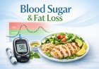 Blood Sugar and Fat Loss: How Glucose Control Affects Weight Loss