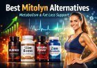 Best Mitolyn Alternatives – Other Metabolism Support Options in 2026