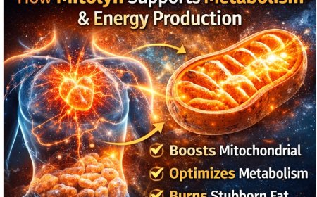 Mitolyn Review 2026 – Natural Metabolism Support & Mitochondrial Energy Supplement