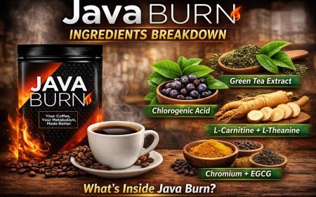Java Burn Ingredients Explained: What’s Inside This Coffee Fat Burner?