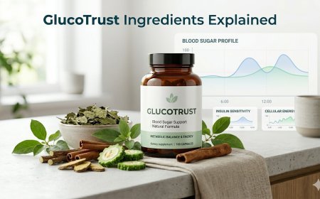 GlucoTrust Ingredients Explained: What’s Inside the Formula in 2026?