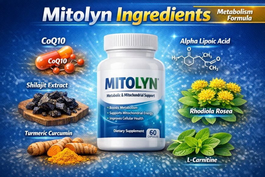 Mitolyn Ingredients Explained: Full Formula Breakdown for Metabolism & Energy