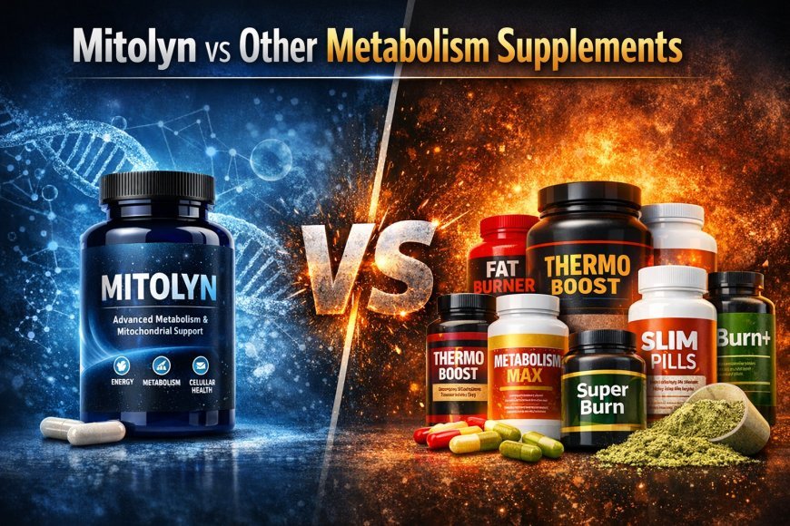 Mitolyn vs Other Metabolism Supplements: Which One Works Better in 2026?