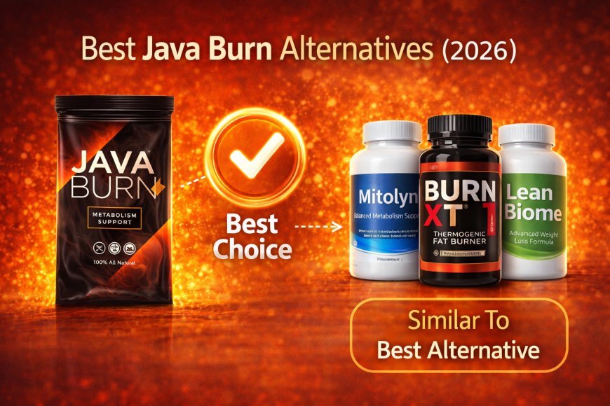 Top alternatives to Java Burn including fat burners, metabolism boosters, and gut health supplements.