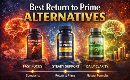 Best Return to Prime Alternatives: Top Brain Supplements for Focus, Clarity & Results