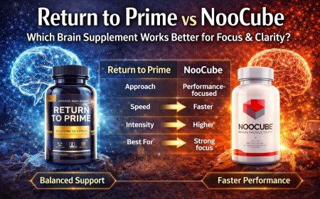 Return to Prime vs NooCube: Which Brain Supplement Works Better for Focus & Clarity?