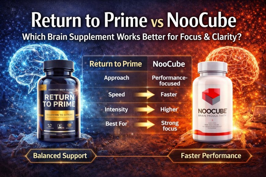 Return to Prime vs NooCube: Which Brain Supplement Works Better for Focus & Clarity?