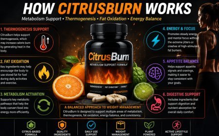 How CitrusBurn Works (2026): Metabolism, Thermogenesis & Fat Burning Explained