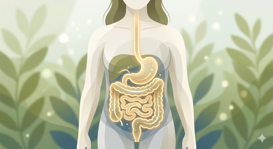 Gut Health and Weight Loss: What Actually Affects Your Body